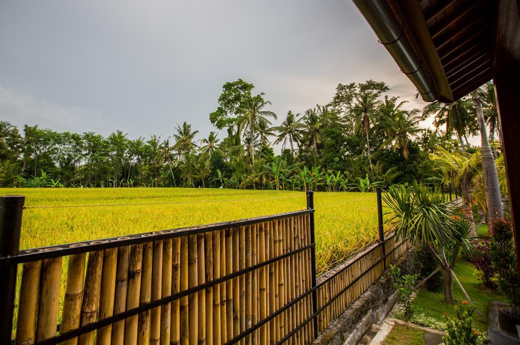 Vila Maluhia Haven Ubud Exteriér fotografie