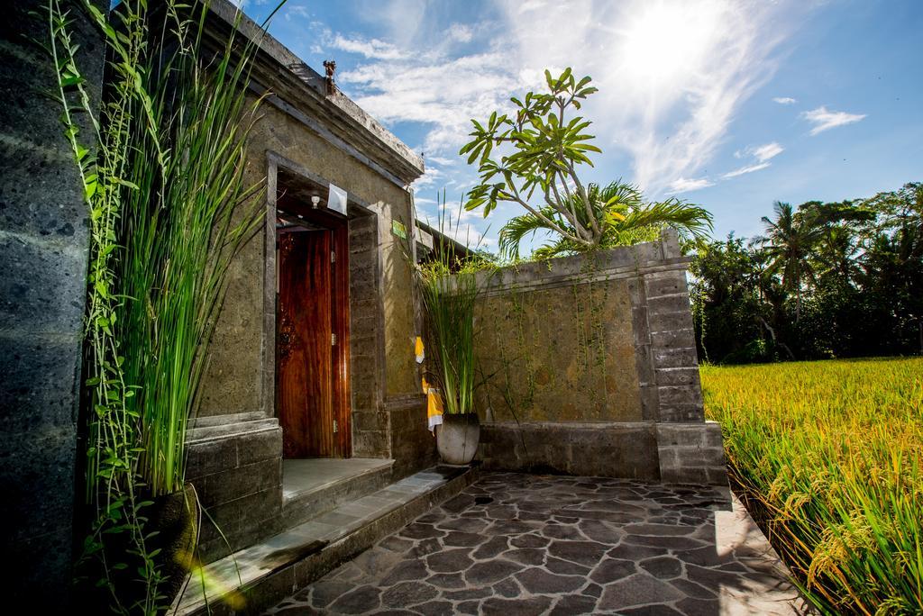 Vila Maluhia Haven Ubud Exteriér fotografie
