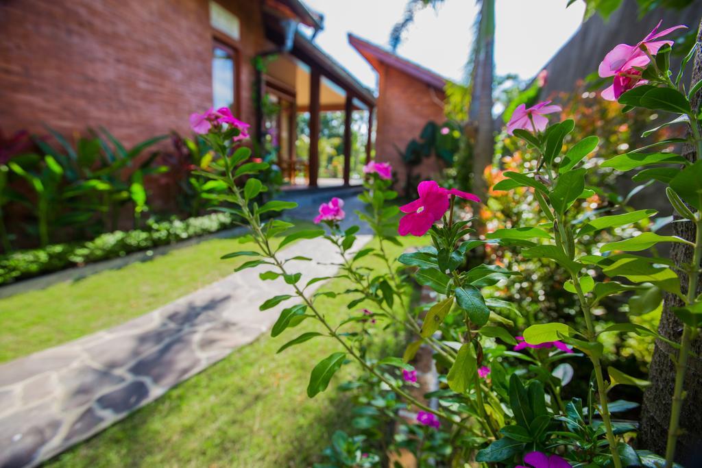 Vila Maluhia Haven Ubud Exteriér fotografie