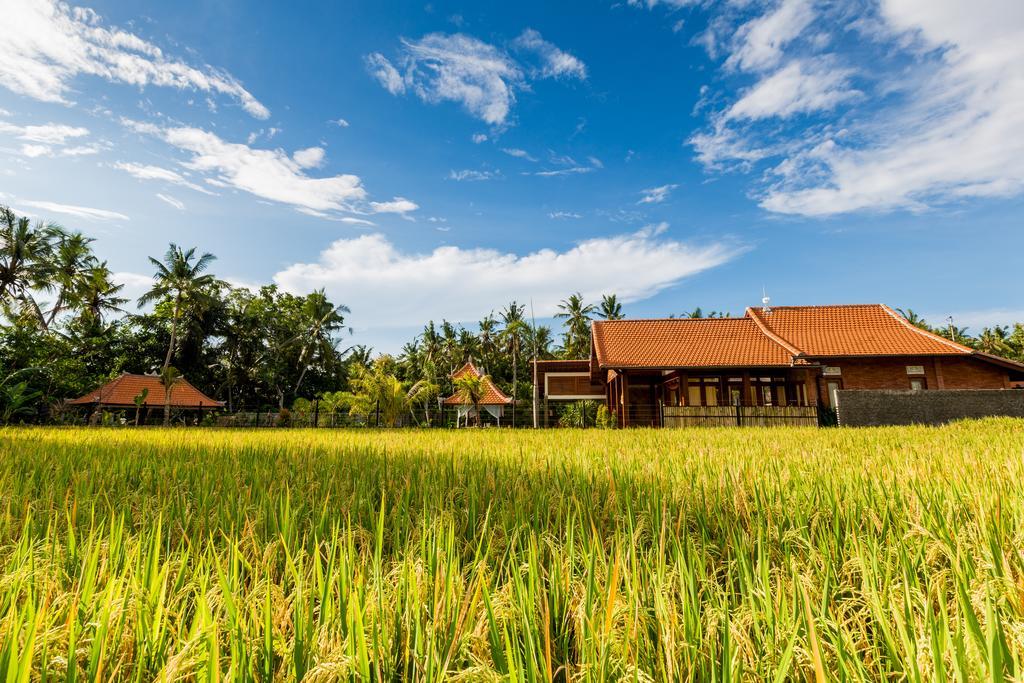Vila Maluhia Haven Ubud Exteriér fotografie